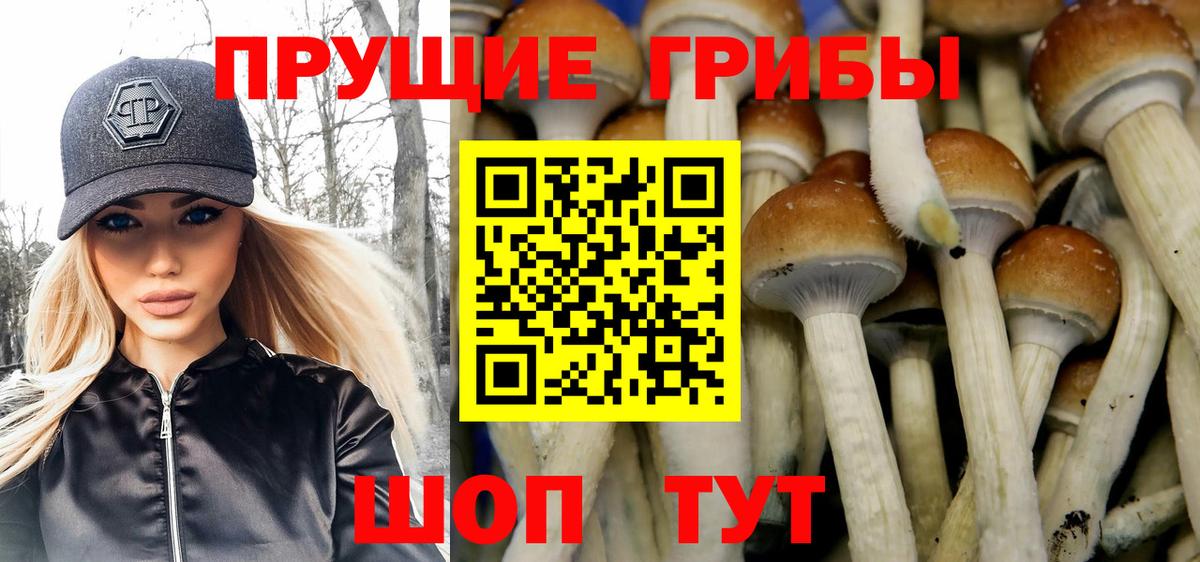 Псилоцибиновые грибы GOLDEN TEACHER  Псилоцибиновые грибы мицелий  Вход с VPN  что такое   Сафоново 