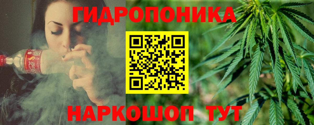 Каннабис OG Kush Сафоново